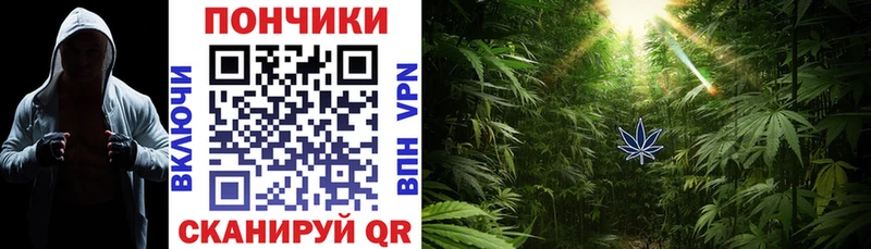 Магазины продажи наркотиков Белоозёрский ГАШИШ Бошки Шишки Cocaine ТГК МЕФ